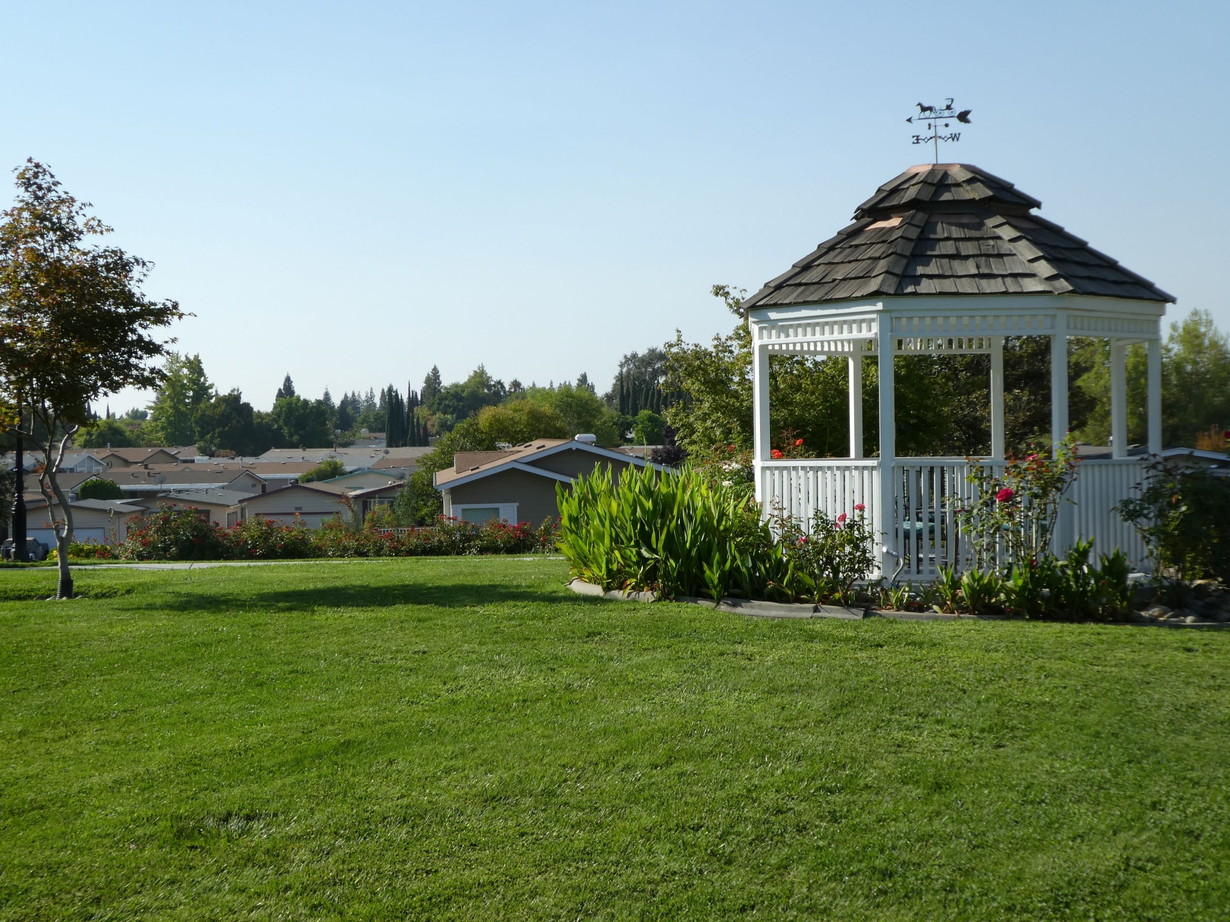 Roseville Shutterstock 2274566701