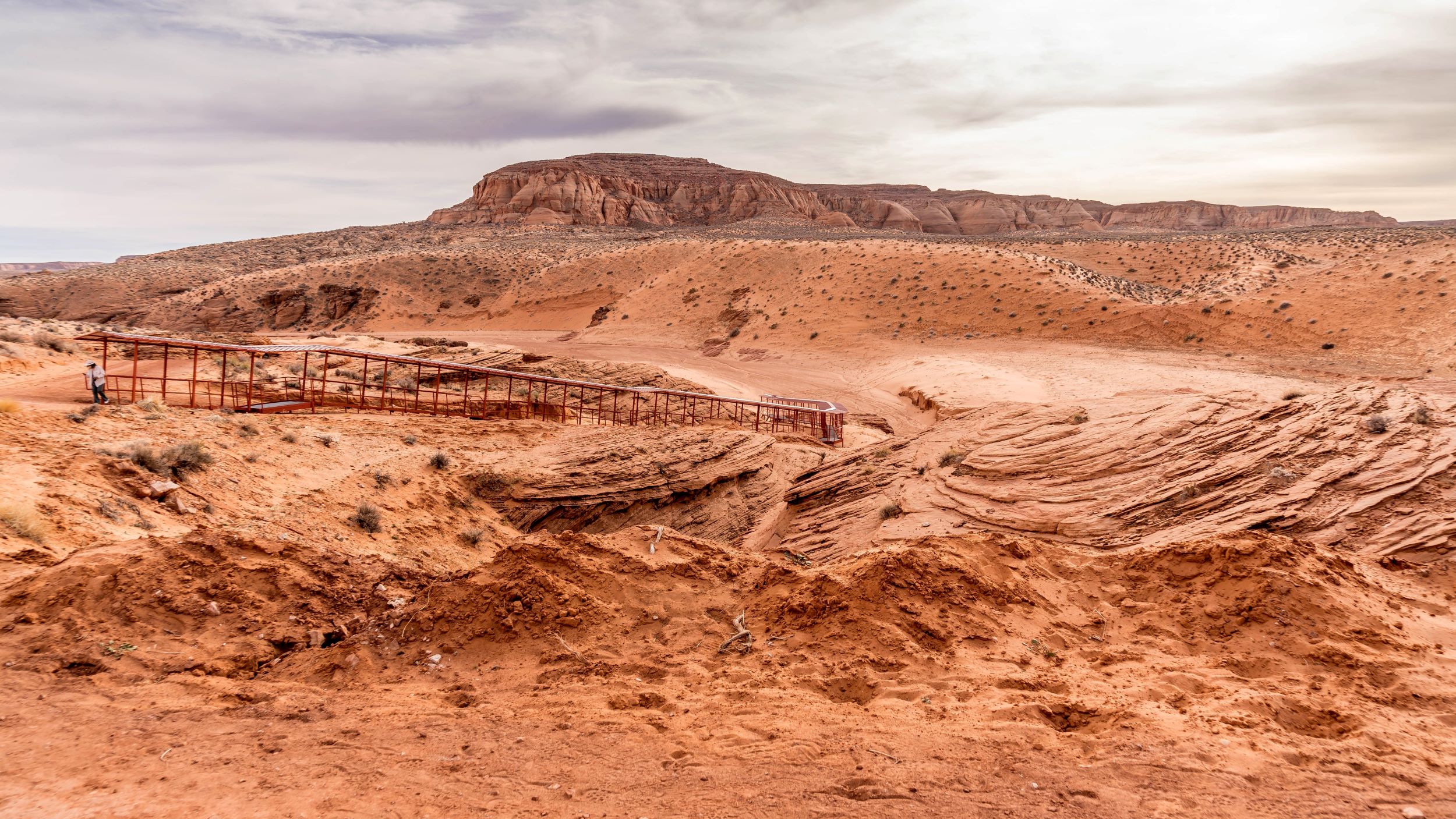 Antelope Shutterstock 2412247171