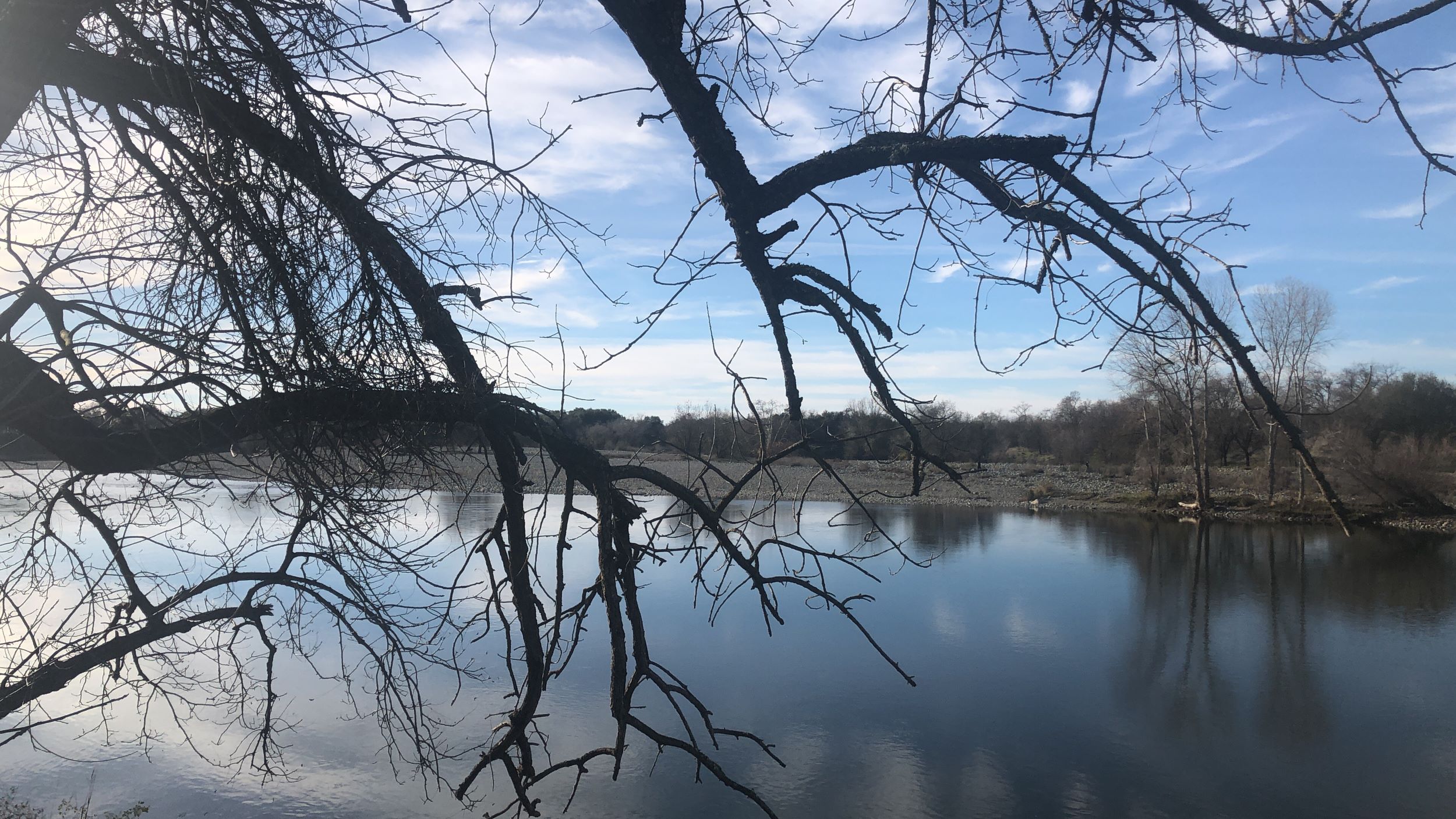 Rancho Cordova Shutterstock 1304516260